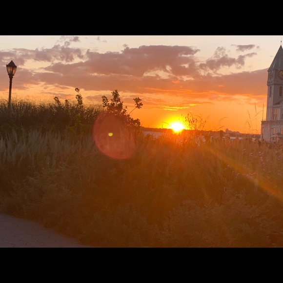 Meet your Posher, Susi - Picture 5 of 9